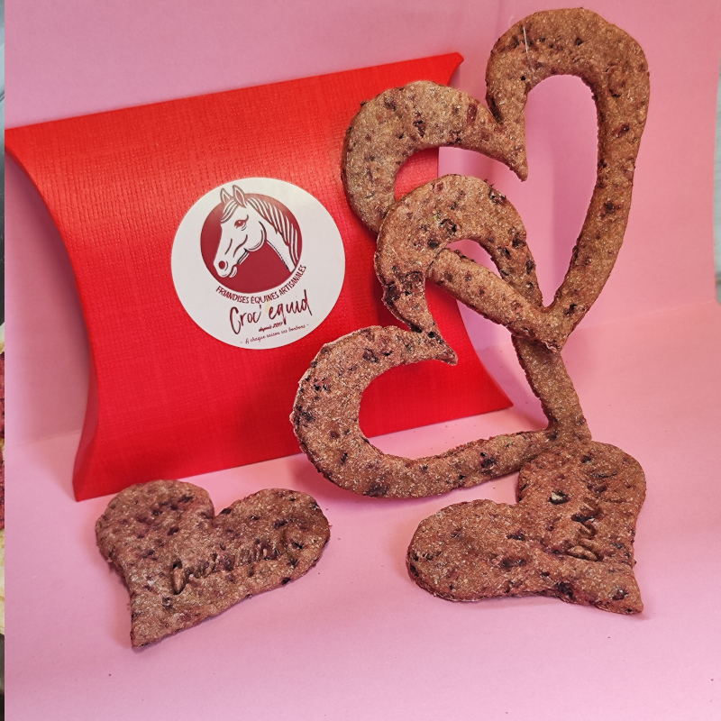 CrocEquidCrocSaintValentin2_800x800_01